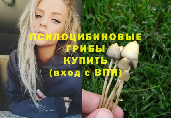 скорость Арсеньев