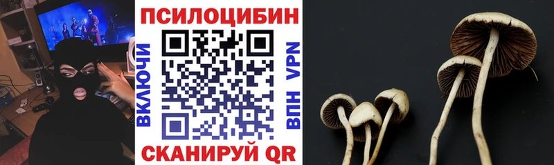 Галлюциногенные грибы Magic Shrooms  Протвино 